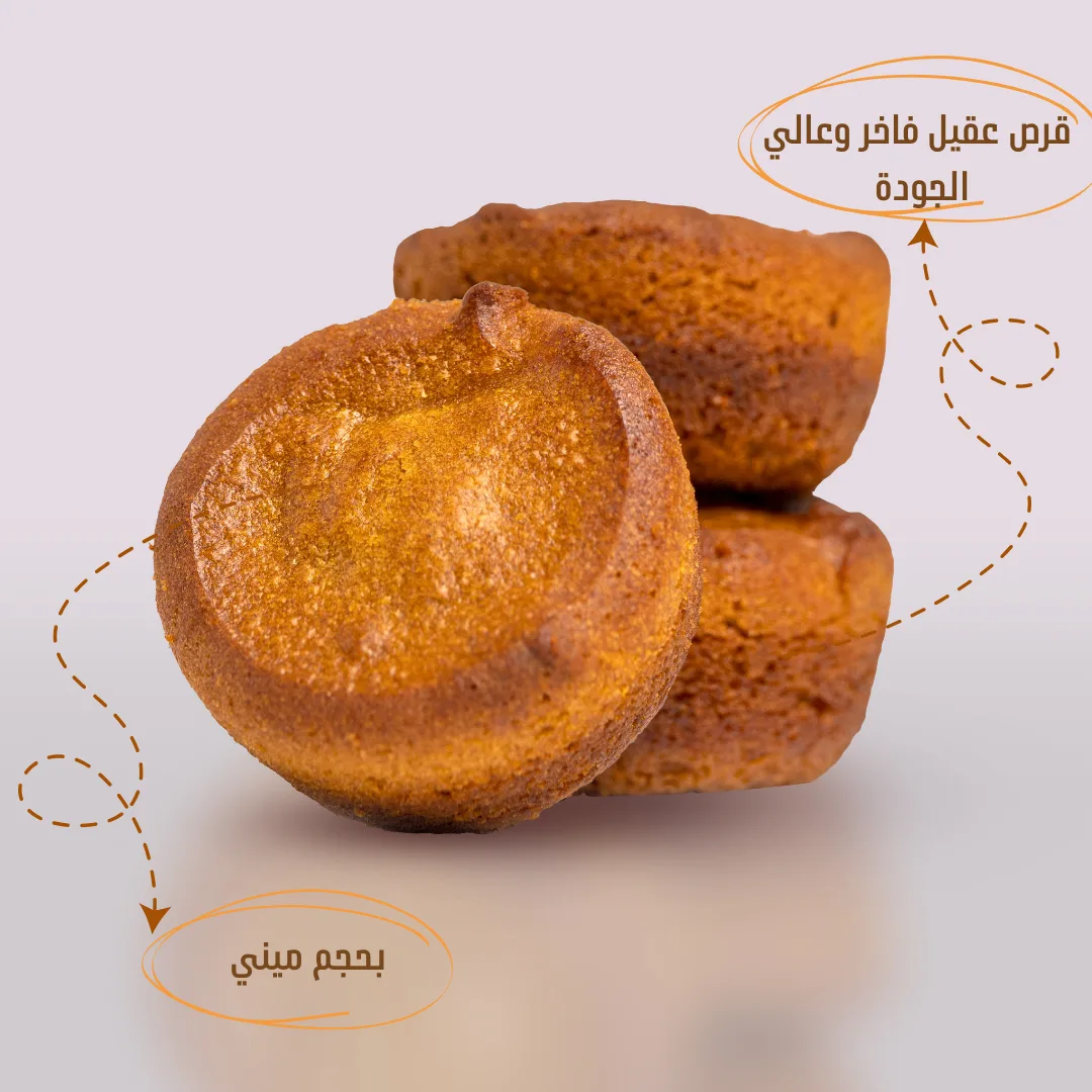 قرص عقيل ميني 2